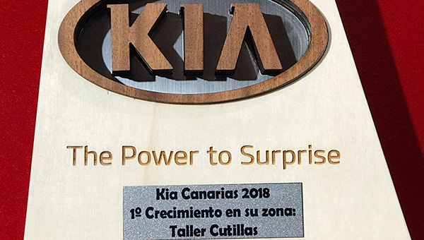 Kia Crecimiento Small